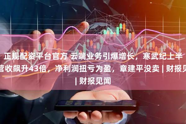 正规配资平台官方 云端业务引爆增长，寒武纪上半年营收飙升43倍，净利润扭亏为盈，章建平没卖 | 财报见闻