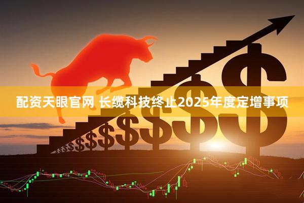 配资天眼官网 长缆科技终止2025年度定增事项